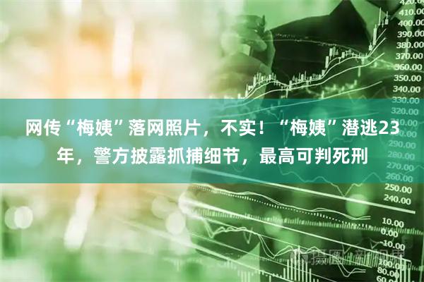 网传“梅姨”落网照片，不实！“梅姨”潜逃23年，警方披露抓捕细节，最高可判死刑